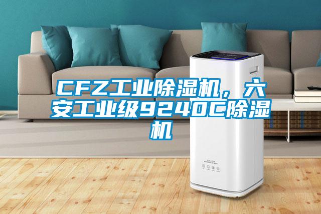 CFZ工業(yè)除濕機(jī)，六安工業(yè)級(jí)9240C除濕機(jī)
