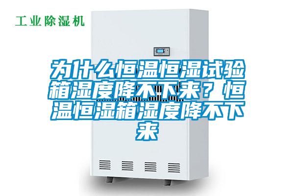為什么恒溫恒濕試驗箱濕度降不下來？恒溫恒濕箱濕度降不下來