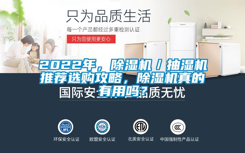 2022年，除濕機／抽濕機推薦選購攻略，除濕機真的有用嗎？