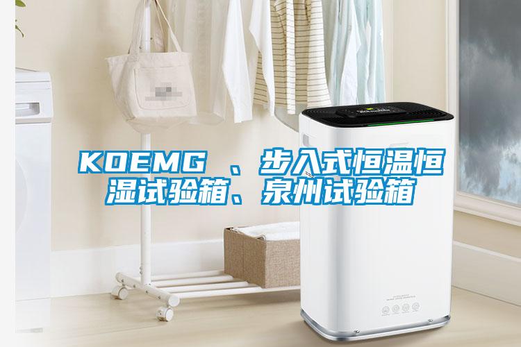 KOEMG 、步入式恒溫恒濕試驗(yàn)箱、泉州試驗(yàn)箱