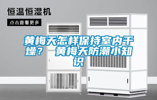 黃梅天怎樣保持室內(nèi)干燥？ 黃梅天防潮小知識