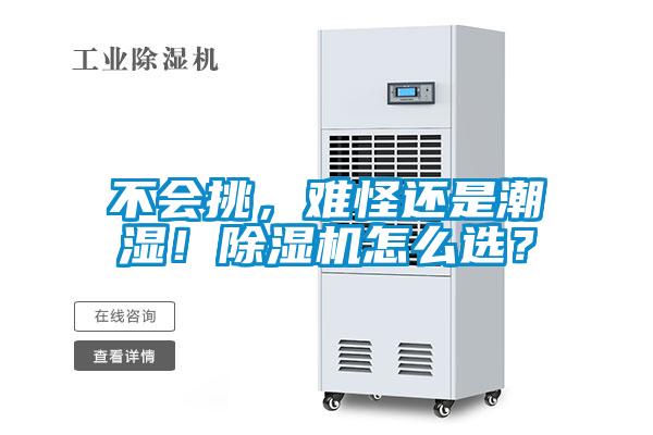 不會挑，難怪還是潮濕！除濕機怎么選？