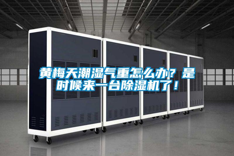 黃梅天潮濕氣重怎么辦？是時候來一臺除濕機了！