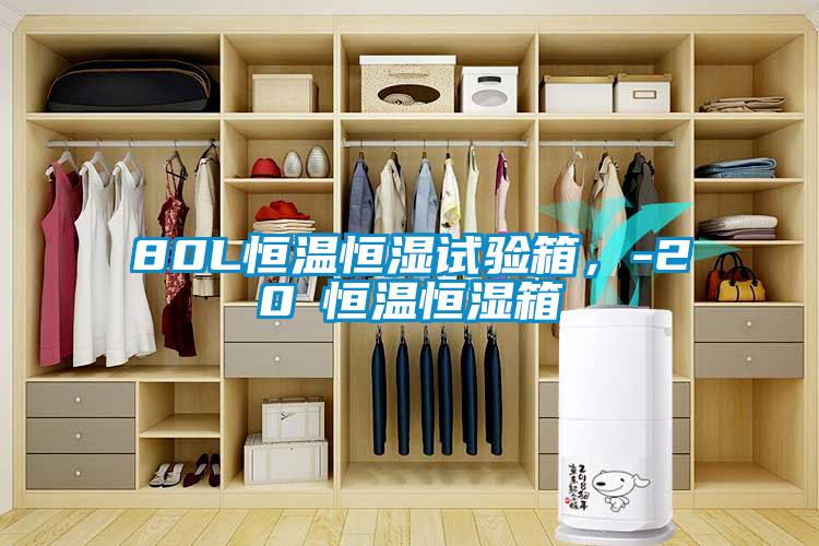 80L恒溫恒濕試驗(yàn)箱，-20℃恒溫恒濕箱