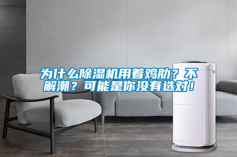 為什么除濕機(jī)用著雞肋？不解潮？可能是你沒有選對(duì)！