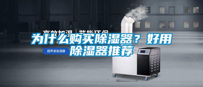 為什么購(gòu)買除濕器？好用除濕器推薦