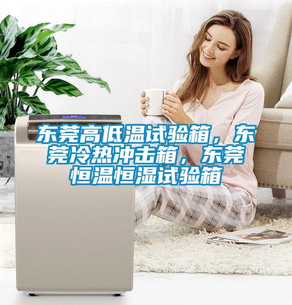 東莞高低溫試驗箱，東莞冷熱沖擊箱，東莞恒溫恒濕試驗箱