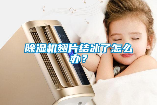 除濕機翅片結(jié)冰了怎么辦？