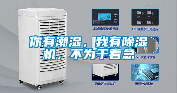 你有潮濕，我有除濕機(jī)，不為干著急