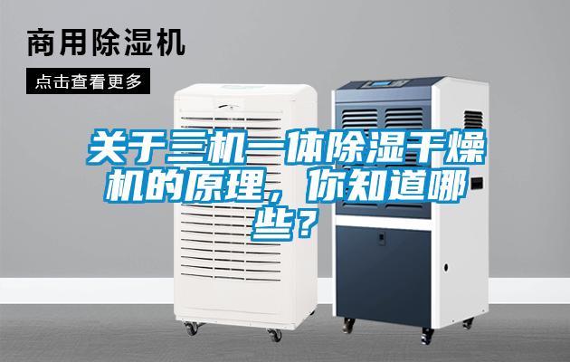 關(guān)于三機(jī)一體除濕干燥機(jī)的原理，你知道哪些？