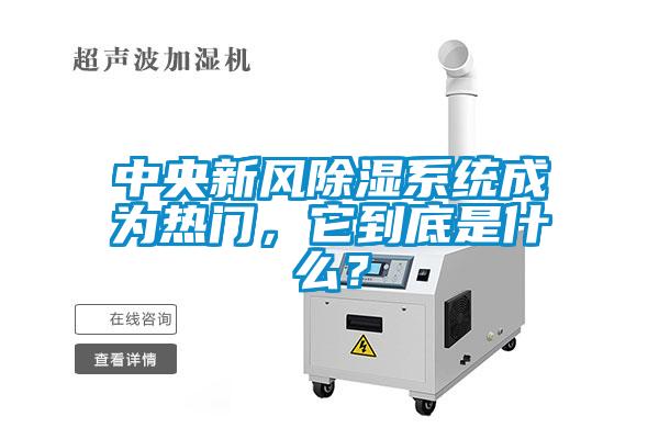 中央新風(fēng)除濕系統(tǒng)成為熱門，它到底是什么？