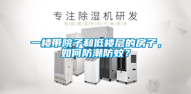 一樓帶院子和低樓層的房子，如何防潮防蚊？