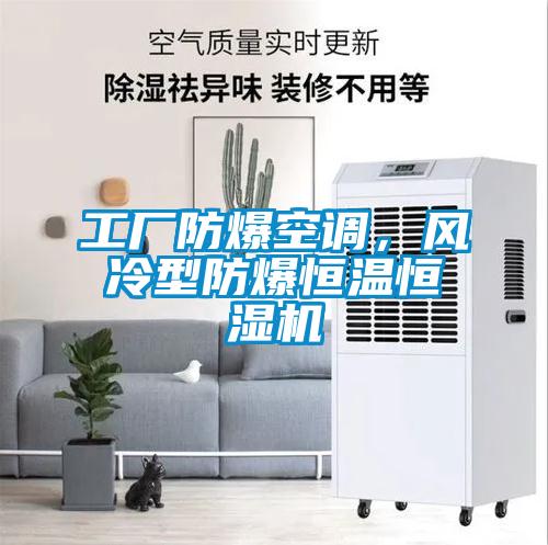 工廠防爆空調(diào)，風(fēng)冷型防爆恒溫恒濕機(jī)