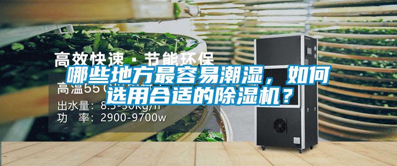 哪些地方最容易潮濕，如何選用合適的除濕機(jī)？