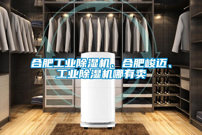 合肥工業(yè)除濕機、合肥峻邁、工業(yè)除濕機哪有賣