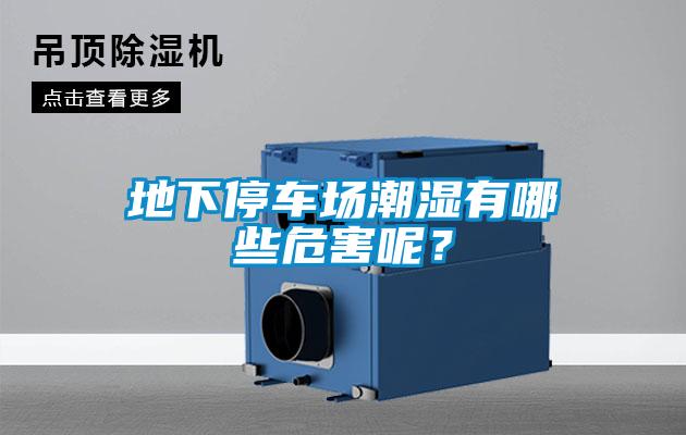 地下停車場潮濕有哪些危害呢？