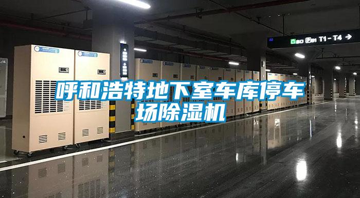 呼和浩特地下室車(chē)庫(kù)停車(chē)場(chǎng)除濕機(jī)