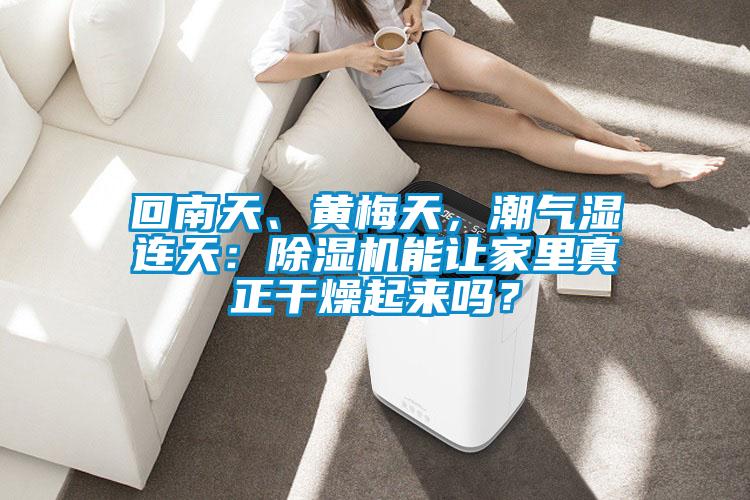 回南天、黃梅天，潮氣濕連天：除濕機能讓家里真正干燥起來嗎？