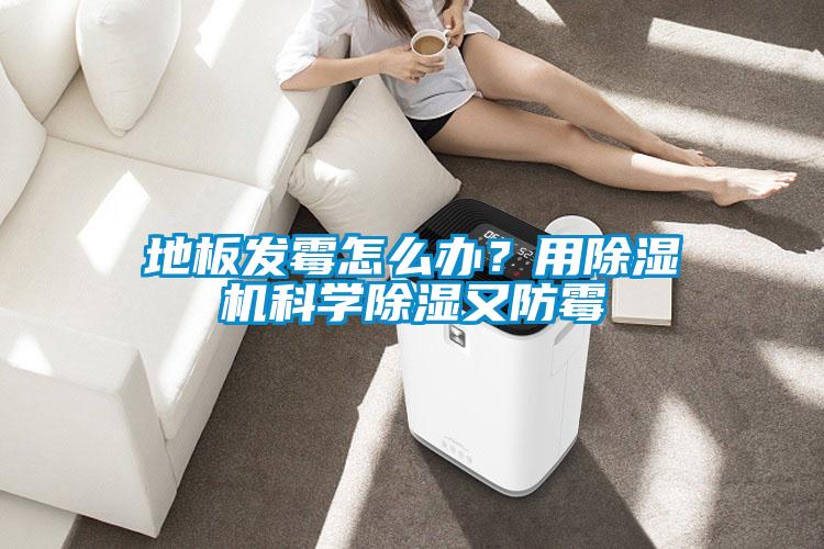 地板發(fā)霉怎么辦？用除濕機(jī)科學(xué)除濕又防霉