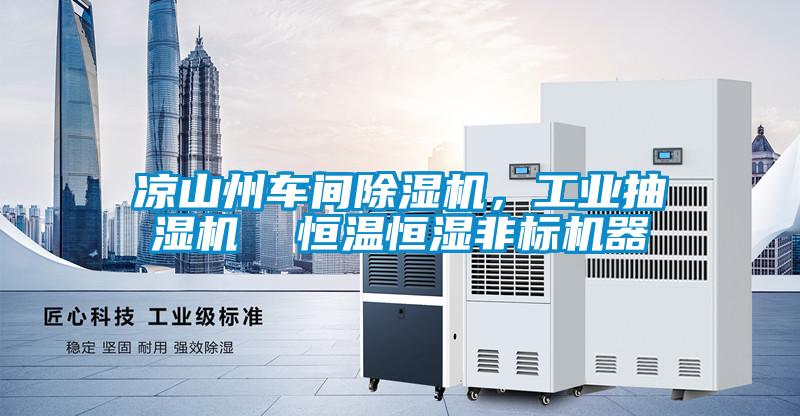 涼山州車間除濕機(jī)，工業(yè)抽濕機(jī)  恒溫恒濕非標(biāo)機(jī)器