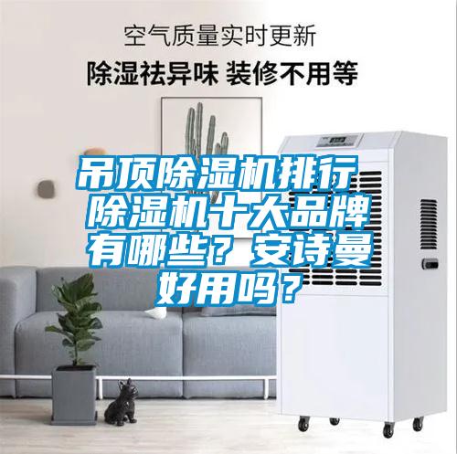 吊頂除濕機排行 除濕機十大品牌有哪些？安詩曼好用嗎？