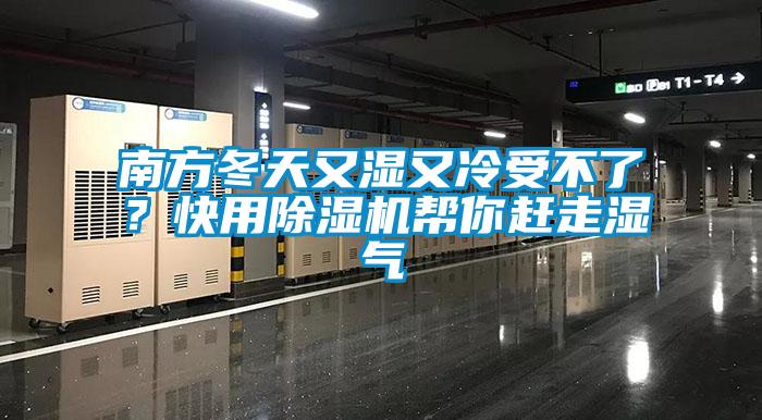 南方冬天又濕又冷受不了？快用除濕機幫你趕走濕氣