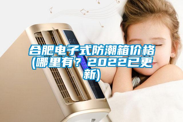 合肥電子式防潮箱價格(哪里有？2022已更新)