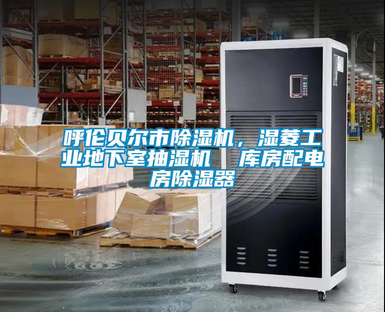 呼倫貝爾市除濕機(jī)，濕菱工業(yè)地下室抽濕機(jī)  庫房配電房除濕器