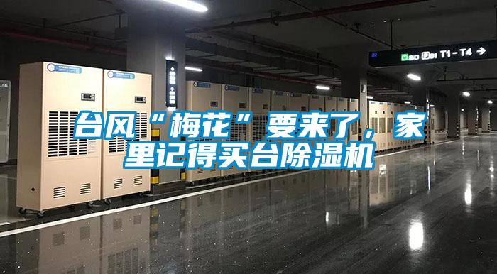 臺風(fēng)“梅花”要來了，家里記得買臺除濕機(jī)