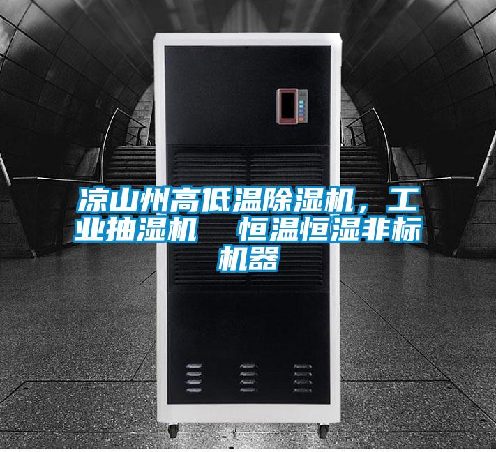 涼山州高低溫除濕機(jī)，工業(yè)抽濕機(jī)  恒溫恒濕非標(biāo)機(jī)器