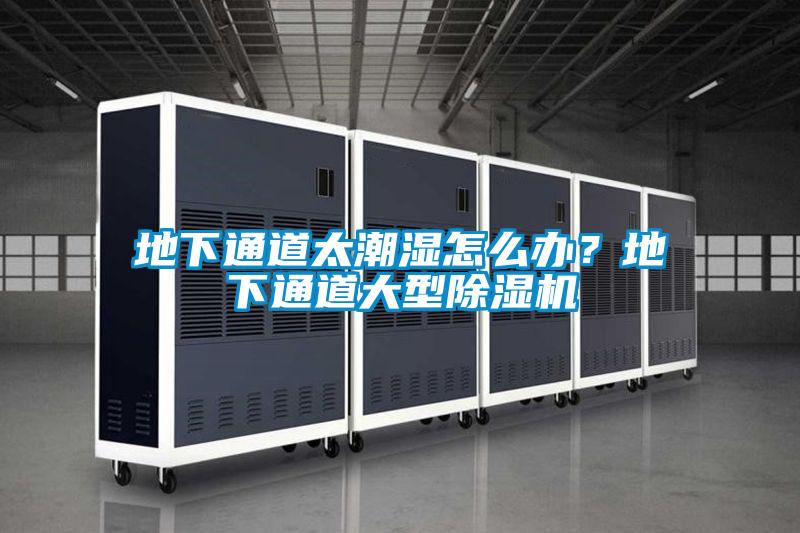 地下通道太潮濕怎么辦？地下通道大型除濕機(jī)