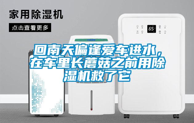 回南天偏逢愛車進水，在車?yán)镩L蘑菇之前用除濕機救了它