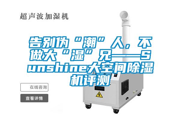 告別偽“潮”人，不做大“濕”兄——Sunshine大空間除濕機(jī)評(píng)測(cè)