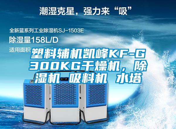 塑料輔機凱峰KF-G300KG干燥機，除濕機 吸料機 水塔