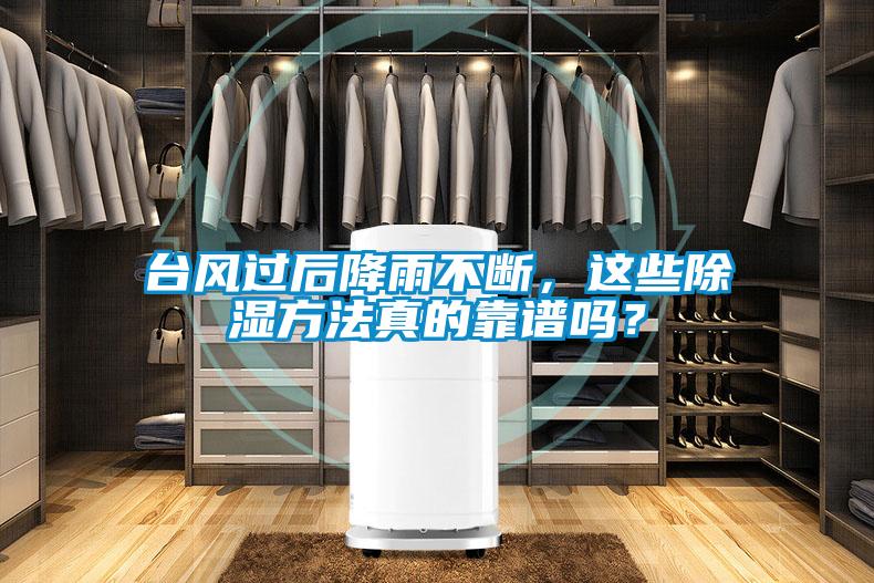 臺(tái)風(fēng)過(guò)后降雨不斷，這些除濕方法真的靠譜嗎？