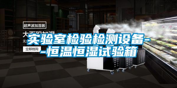 實(shí)驗(yàn)室檢驗(yàn)檢測(cè)設(shè)備--恒溫恒濕試驗(yàn)箱