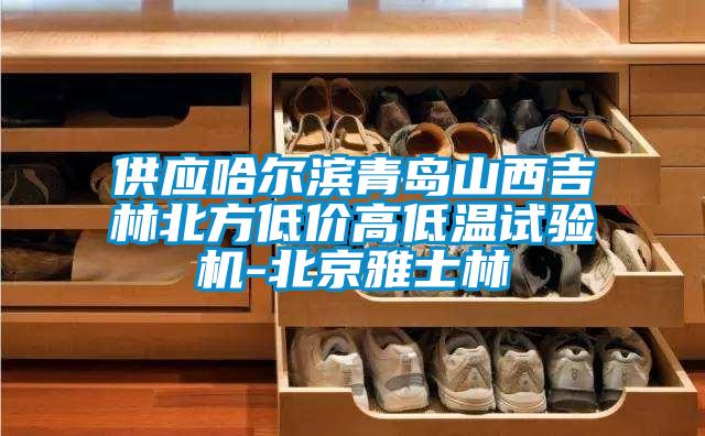 供應(yīng)哈爾濱青島山西吉林北方低價高低溫試驗機(jī)-北京雅士林