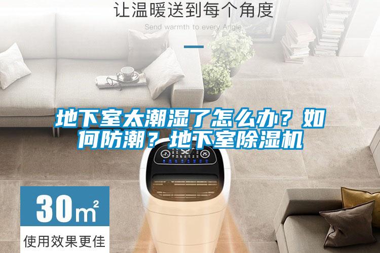 地下室太潮濕了怎么辦？如何防潮？地下室除濕機(jī)