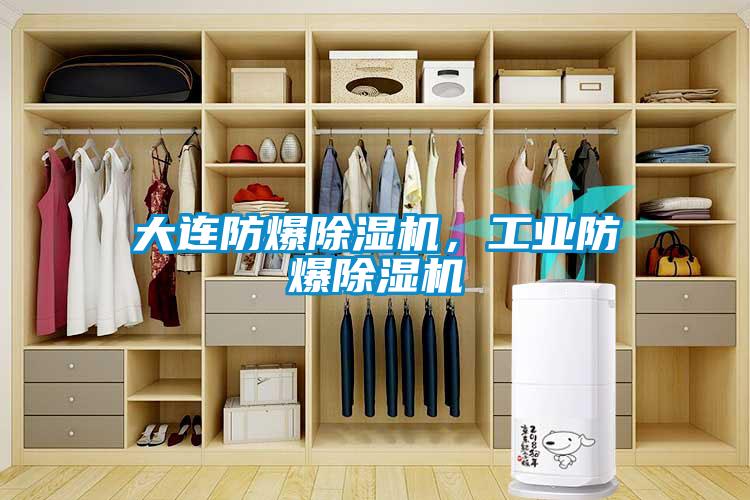 大連防爆除濕機(jī)，工業(yè)防爆除濕機(jī)