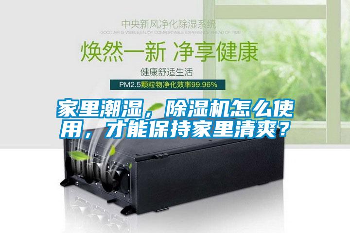 家里潮濕，除濕機(jī)怎么使用，才能保持家里清爽？