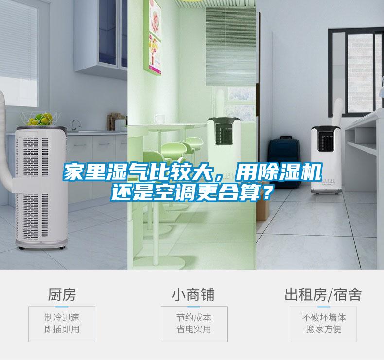 家里濕氣比較大，用除濕機(jī)還是空調(diào)更合算？