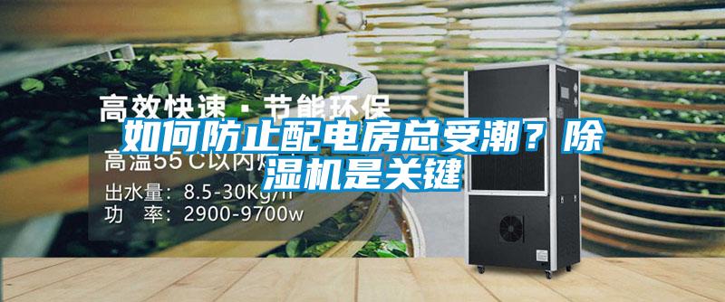 如何防止配電房總受潮？除濕機是關鍵