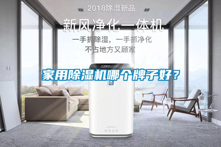 家用除濕機(jī)哪個(gè)牌子好？
