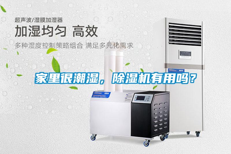 家里很潮濕，除濕機(jī)有用嗎？