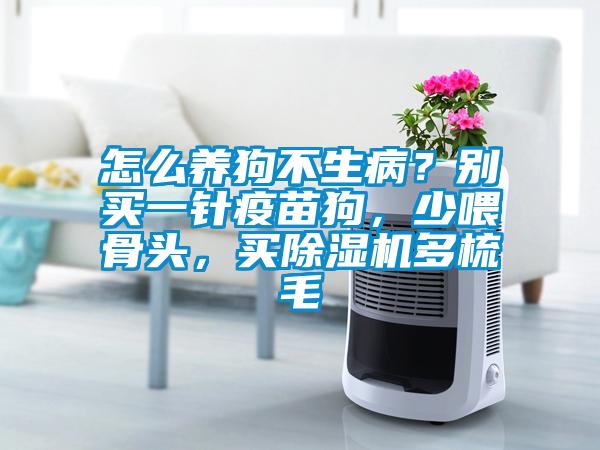 怎么養(yǎng)狗不生病？別買一針疫苗狗，少喂骨頭，買除濕機多梳毛