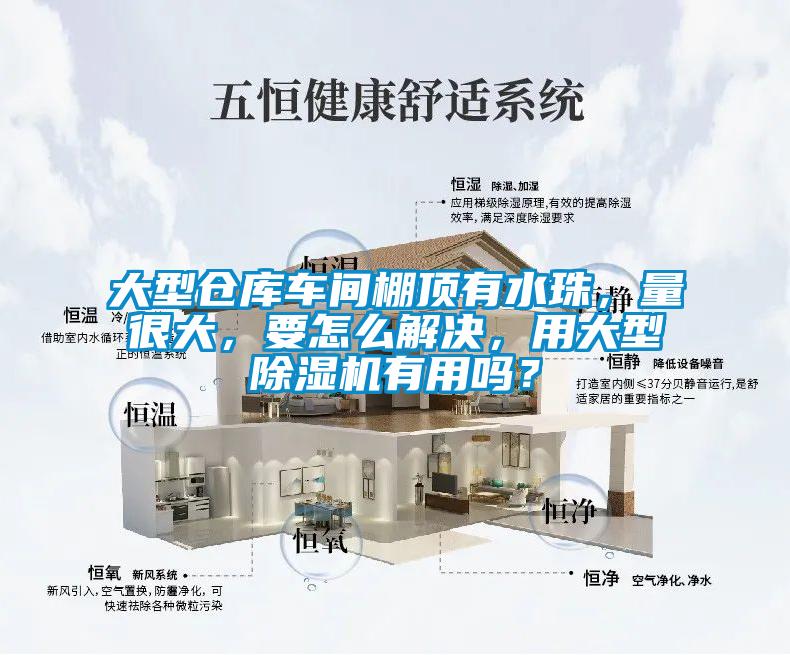 大型倉庫車間棚頂有水珠，量很大，要怎么解決，用大型除濕機有用嗎？