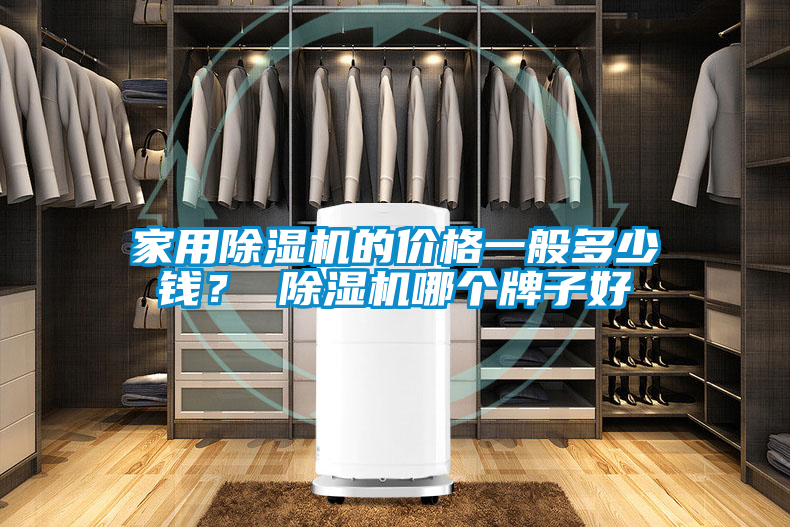 家用除濕機(jī)的價格一般多少錢？ 除濕機(jī)哪個牌子好