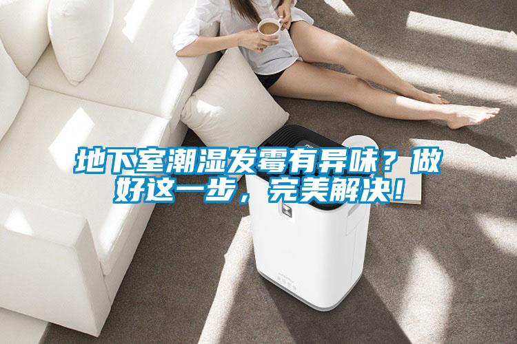 地下室潮濕發(fā)霉有異味？做好這一步，完美解決！