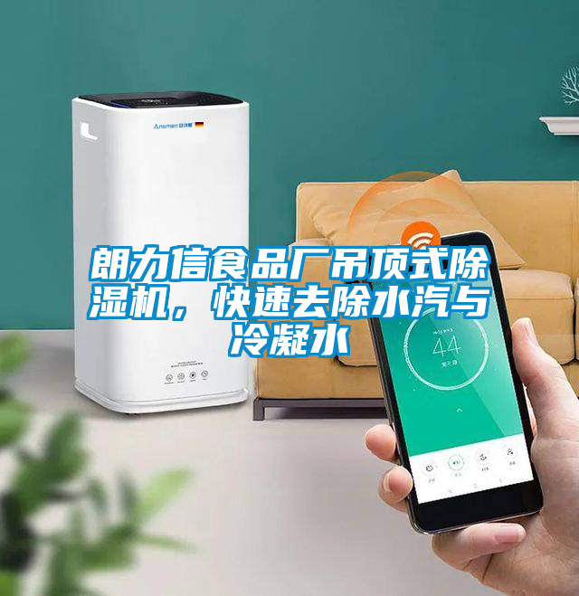 朗力信食品廠吊頂式除濕機，快速去除水汽與冷凝水