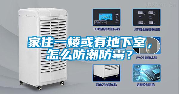 家住一樓或有地下室，怎么防潮防霉？
